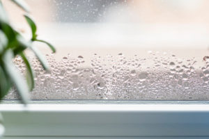 How Humidity Can Damage Your Home