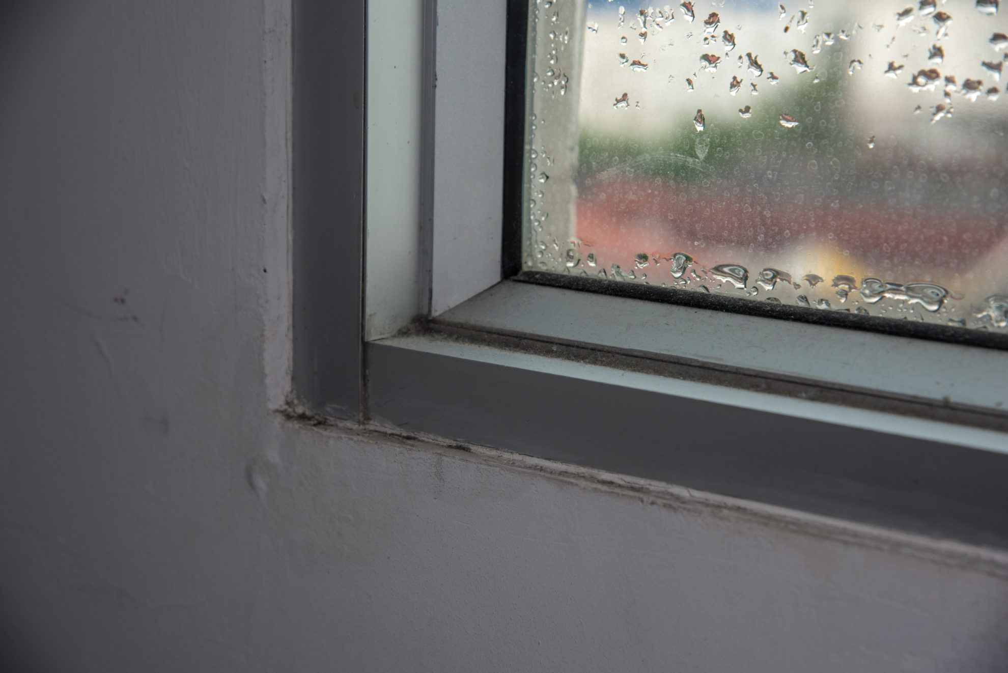 Signs Your Home Has Poor Humidity | NJ | Clay's HVAC